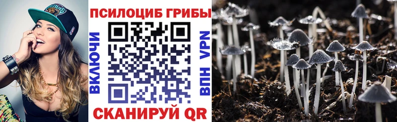 Галлюциногенные грибы мицелий Омутнинск